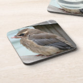 ベビーシダー溶射バード自然コースターセット コースター (左側)