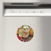 ベビーシック磁石ファームマグネット マグネット (インサイチュ (食洗機))