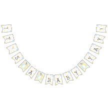 ベビーシャワービーチボール、アゲハチョウバナー