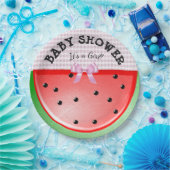 ベビーシャワー女の子のスイカのピンクのプレート ペーパープレート (パーティー)