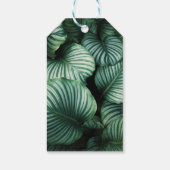 ベビーシャワー好きトロピカル葉&フラミンゴ ギフトタグ (裏面)