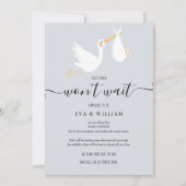 ベビーシャワー散水消灯カード 招待状 (正面)