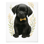 ベビーシャワー ウォールアート (正面)