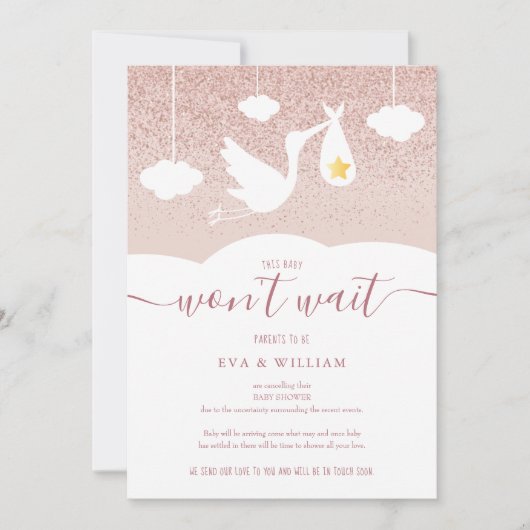 ベビーシャワー、散水キャンセルストークグリッター 招待状 (正面)