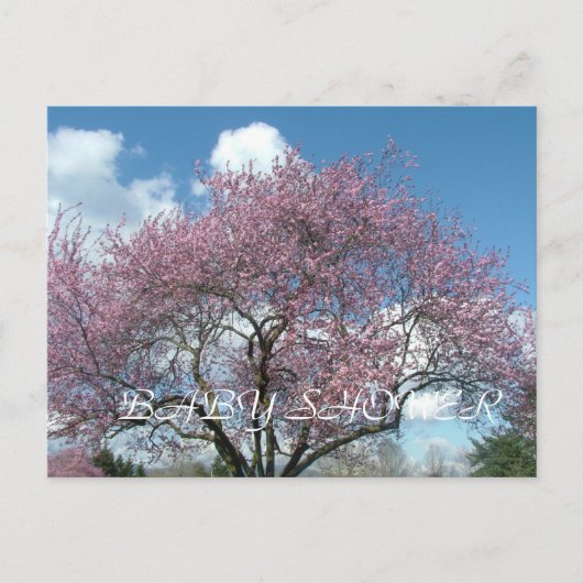 ベビーシャワー、春さくらんぼ開花ツリー インビテーションポストカード (正面)