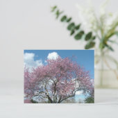 ベビーシャワー、春さくらんぼ開花ツリー インビテーションポストカード (スタンド正面)