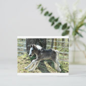 ベビーショリン2 ポストカード (スタンド正面)