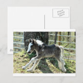 ベビーショリン2 ポストカード (正面/裏面)