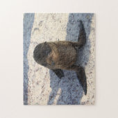 ベビーシーライオンパズル ジグソーパズル (縦)