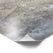 ベビーシーライオン フォトプリント            (角)