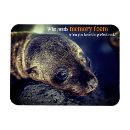 ベビーシーライオン マグネット