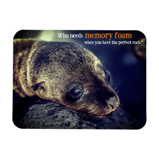 ベビーシーライオン マグネット (横)