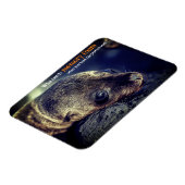 ベビーシーライオン マグネット (左側)