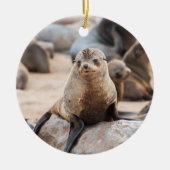 ベビーシールオンロック セラミックオーナメント (正面)