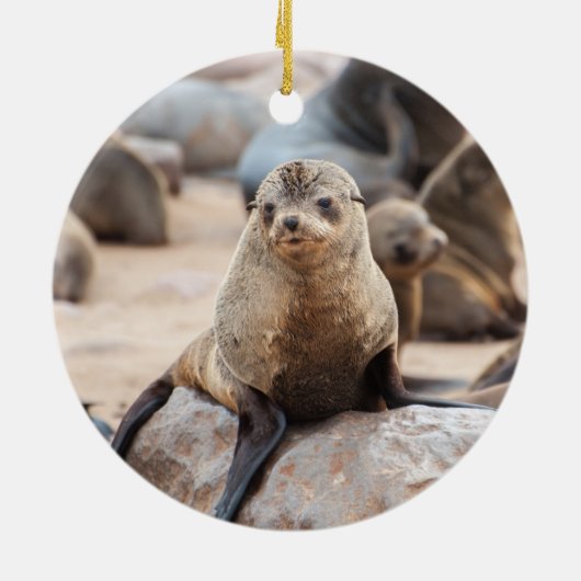 ベビーシールオンロック セラミックオーナメント (裏面)