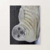 ベビーシールスマイル ジグソーパズル (縦)