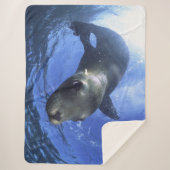 ベビーシール シェルパブランケット (正面)