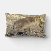 ベビージェーズフォトピロー ランバークッション (裏面)