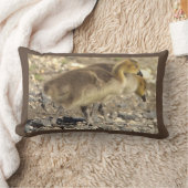 ベビージェーズフォトピロー ランバークッション (ブランケット)