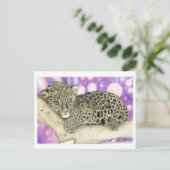 ベビージャガー ポストカード (スタンド正面)