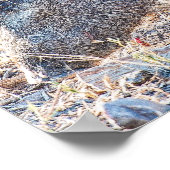 ベビージャベリーナピッグと南テキサス州の母親 ポスター (角)