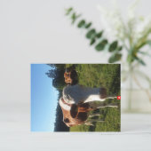 ベビースイス牛はがき ポストカード (スタンド正面)