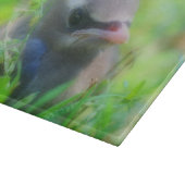 ベビースギの羽ばたき鳥 カッティングボード (角)