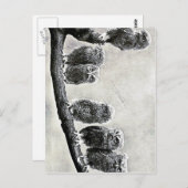 ベビースクリーチフールズハガキ ポストカード (正面/裏面)