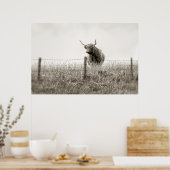 ベビースコティッシュハイランドカウポスター ポスター (キッチン)