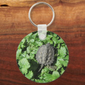 ベビースナップタートルキーチェーン キーホルダー (正面)