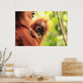 ベビースマトラオラングタン ポスター (キッチン)