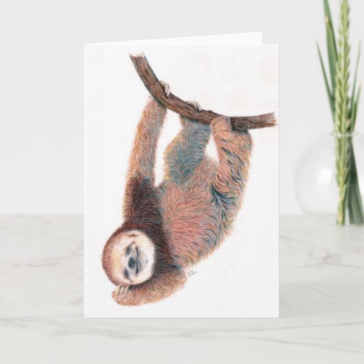 ベビースロースグルーミング自体 カード (正面)