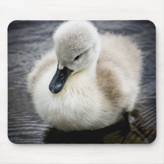 ベビースワン | Cygnet マウスパッド (正面)