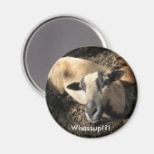 ベビーズザブラックオークランチ マグネット (正面/裏面)