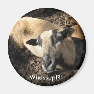 ベビーズザブラックオークランチ マグネット