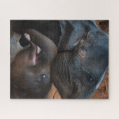 ベビーゾウが微笑む ジグソーパズル (横)