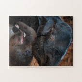 ベビーゾウが微笑む ジグソーパズル (横)