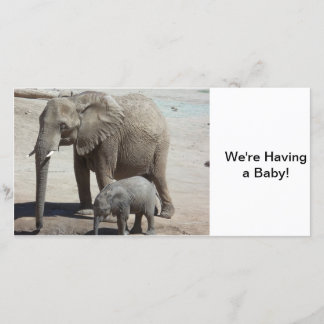 ベビーゾウとママ 案内状