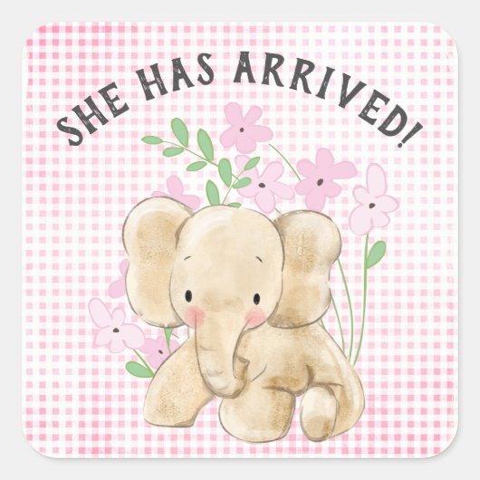 ベビーゾウの花生まれたばかりの発表 スクエアシール (正面)