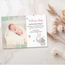 ベビーゾウの誕生のお知らせ