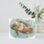 ベビータイガーオスカー ポストカード (スタンド正面)