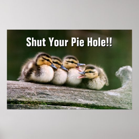 ベビーダックス ポスター (正面)