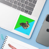 ベビーダックズオングラスグリーンとスカイブルー シール (ノートパソコンとiPhone)