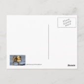 ベビーダックポストカード ポストカード (裏面)