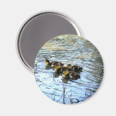 ベビーダック磁石の束 マグネット (正面/裏面)