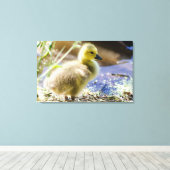 ベビーダック キャンバスプリント (インサイチュ (ウッドフロア))