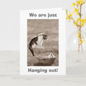 ベビーダック「ハッピーバースデー」 カード (黄色い花)