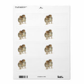 ベビーチクアラウカナ鳥類鳥類鳥 ラベル (フルシート)