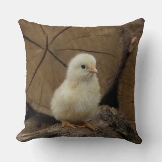 ベビーチックオンログ クッション (正面)