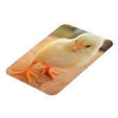 ベビーチックス マグネット (左側)